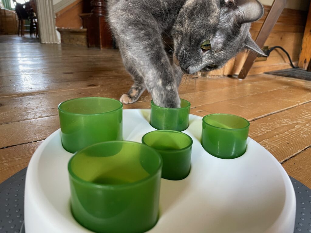 Aikiou Thin Kat Interactive Cat Puzzle Slow Feeder