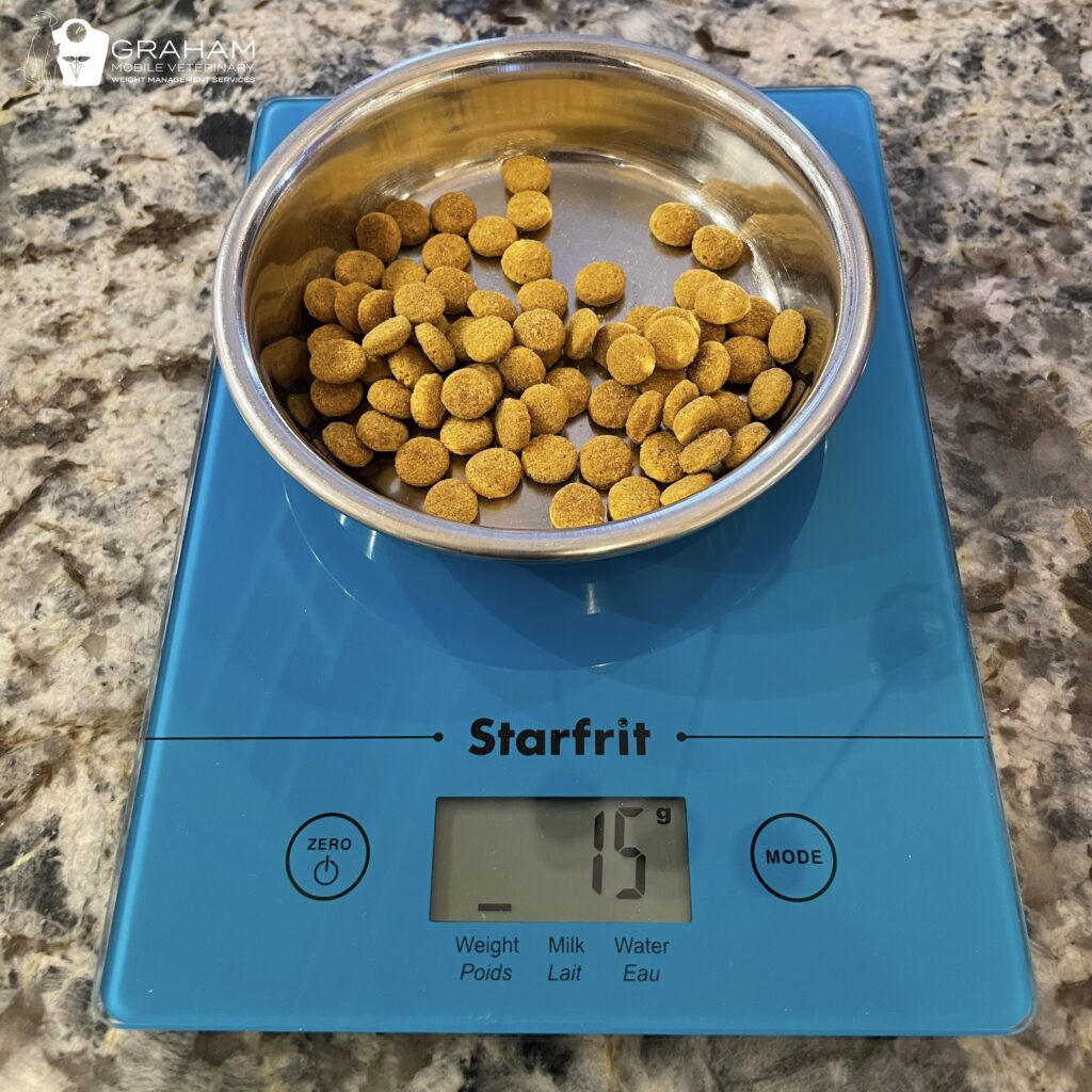 Dog food outlet scales